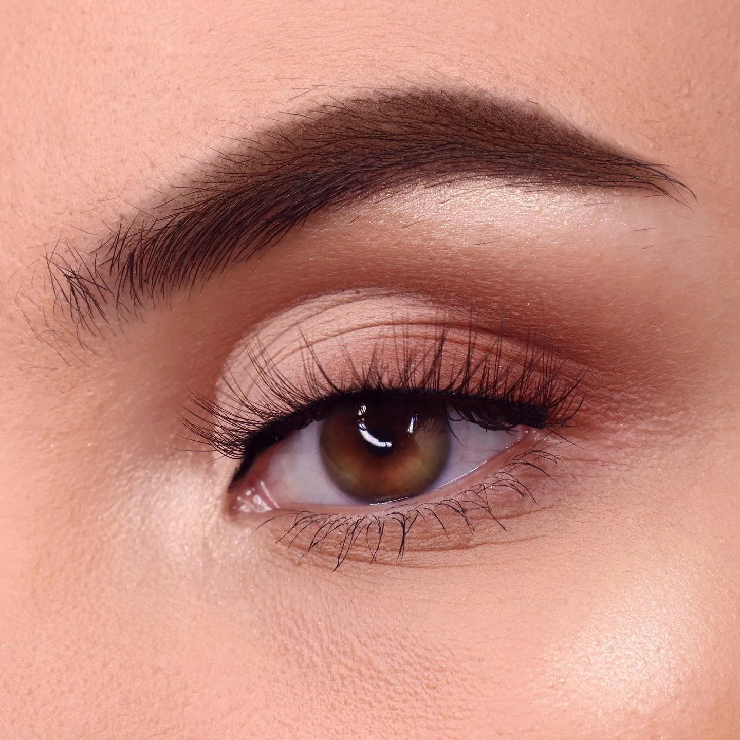 Brow Phenom Brow Tint